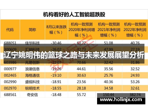 辽宁姚明伟的篮球之路与未来发展展望分析